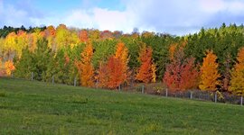 Timeline: Historia de la Informática