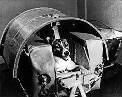 Laika 1957
