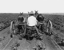 Early Agricultural Science Research