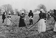 Science changes the number of people needed to farm