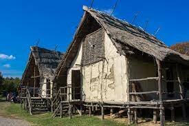 Manifestaciones constructivas