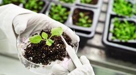 Timeline: Biotecnologia Vegetal