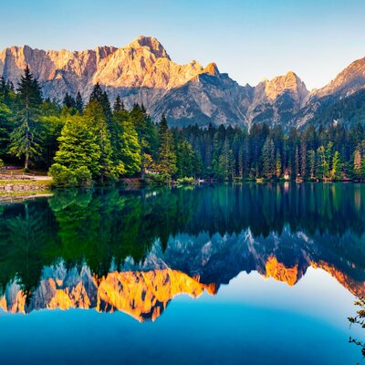 Timeline: LA EVOLUCIÓN DE LOS SERES VIVOS