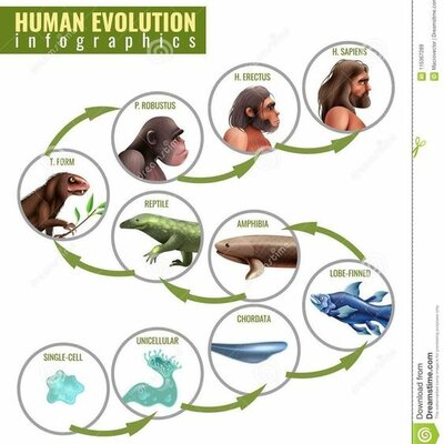 Timeline: Eje cronológico de las etapas de la Prehistoria, Protohistoria y Edad Antigua