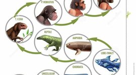 Timeline: Eje cronológico de las etapas de la Prehistoria, Protohistoria y Edad Antigua