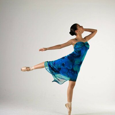 Timeline: Student led Project