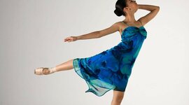 Timeline: Student led Project