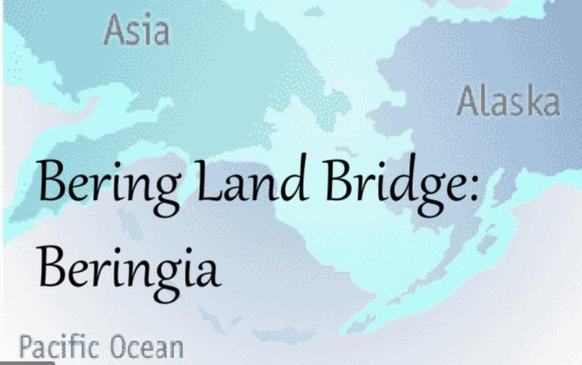 Migration out of Africa and of Native Americans