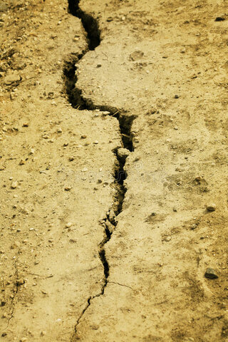 Escletxes de Llibertat