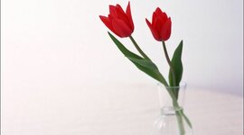 Timeline: A közösségi web története