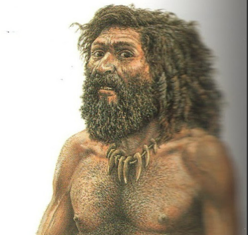 Hombre de Cromañón (Homo Sapiens)