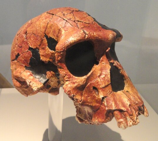 Paleolítico inferior