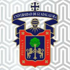 GRAN RED ACADEMICA UNIVERSITARIA EN JALISCO.