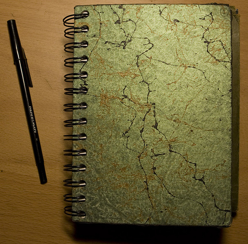 Publication of the first journal