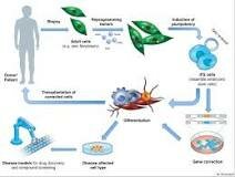reprogramación celular