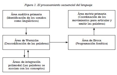 Cognoscitivismo clásico