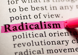 Educación Política en el régimen del Liberalismo Radical, Sur del Estado Soberano del Cauca. 1863- J880. Pasto, Universidad de Nariño. Centro de Estudios e Investigación Latinoamericana.  (1863 - 1880)  Autor: Gerardo Guerrero