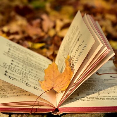 Timeline: Mis lecturas (Alain).