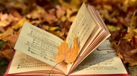 Timeline: Mis lecturas (Alain).