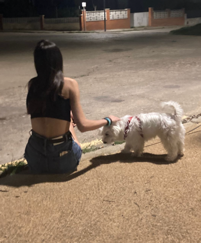 Vam adoptar al Ferro