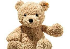 Osito de peluche o Teddy bear