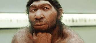 Homo neanderthalis
