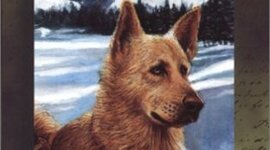 Timeline: The Life of Buck