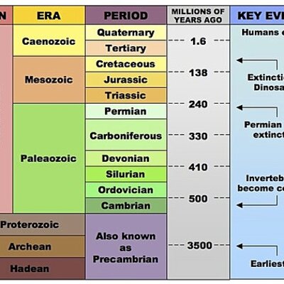 Timeline: Timeline editor