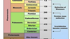 Timeline: Timeline editor