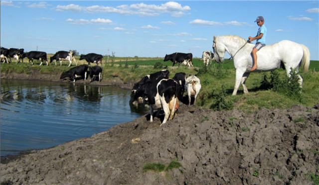 Millones de dólares en pérdidas por la falta de agua