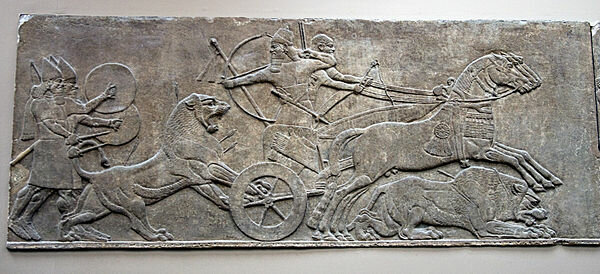 Mesopotamia-Cacería de Asurnasirpal (Asurnasirpal II, c. 860 a. C.) panel 19 de la habitación B del Palacio Noroeste de Nimrud, Nínive.