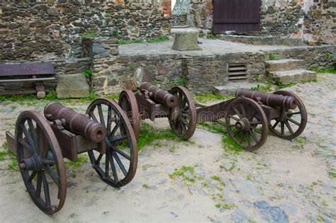 utilizzo armi da fuoco