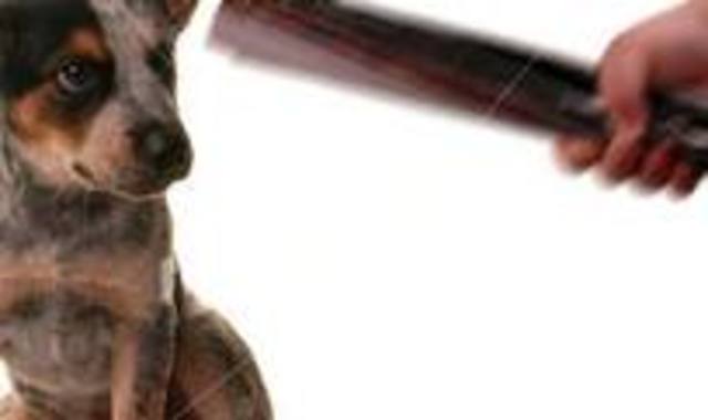 The Man in the Red Sweater