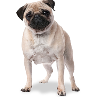 Timeline: Британская лексикография