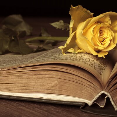 Timeline: La Literatura