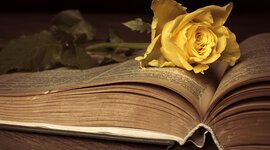 Timeline: La Literatura