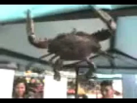 Jess Castañeda Ramírez