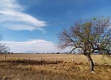 Repoblació de zones deshabitades