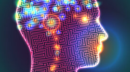 Timeline: Actividad 4 - Recorrido en el estudio de los procesos sensoperceptivos