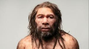 Homo Neandertal