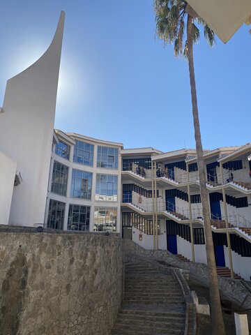 I got into art school