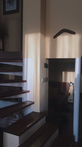 Lockdown (COVID-19 pandemic)