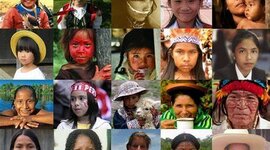 Timeline: Principales logros, avances o alcances que se han generado en Colombia en términos de la educación intercultural.