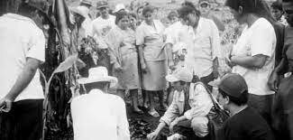 Servicio de ajuste estructural