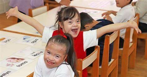 El comité declaró lo siguiente: “la Observación General n.º 4 del Comité de la CDPD