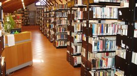 Timeline: Literatura