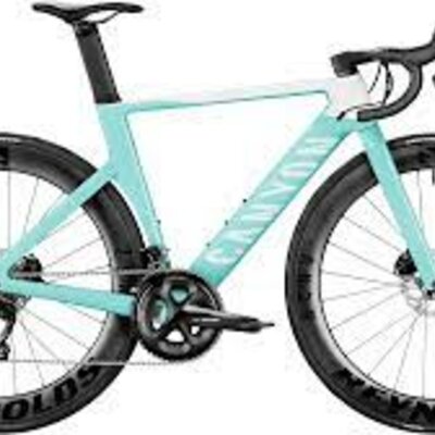 Timeline: Bicicleta irene reina