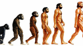 Timeline: Происхождение человека
