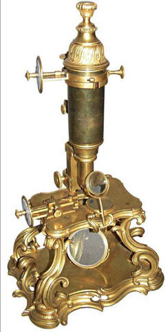 First compound microscope