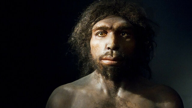 Homo Antecessor y Heidelbergensis